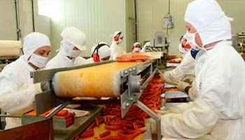 HACCP